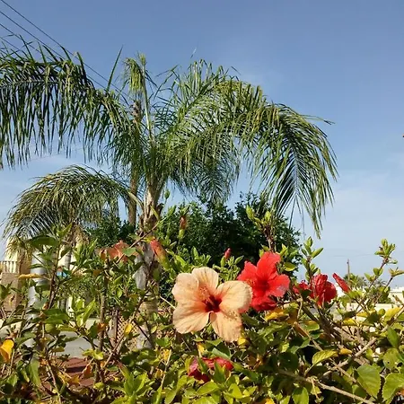 Апартаменты 2 Blue Island Lagoon Dherinia
